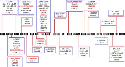 Clinical and Genetic Features in 31 Serial Chinese Children With Gitelman Syndrome